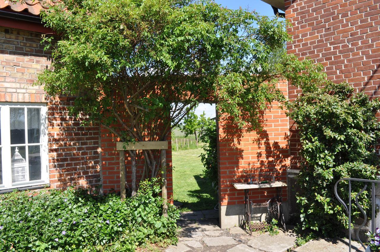Villa Sandby B&B Borrby Номер фото